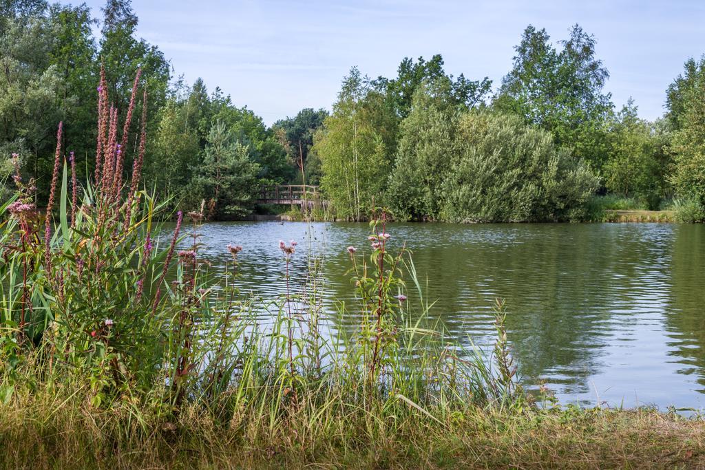 Oostappen Vakantiepark Zilverstrand Mol Bagian luar foto